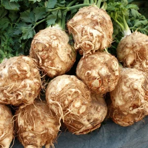 Giant Prague Celeriac Seeds - 50 Seed Pack - Heirloom Root Vegetable - Image 15