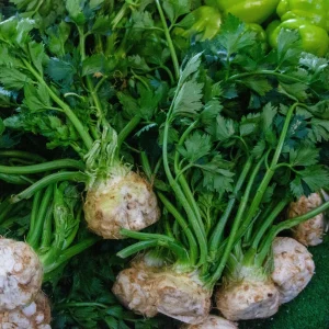 Giant Prague Celeriac Seeds - 50 Seed Pack - Heirloom Root Vegetable - Image 2
