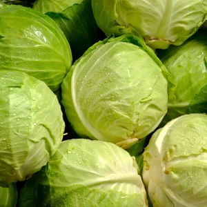 Golden Acre Green Cabbage Seeds - 20 Pack - Early & Compact Vegetable - Image 6