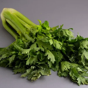 Golden Self Blanching Celery Seeds - 50 Seed Pack - Heirloom Vegetable - Image 10
