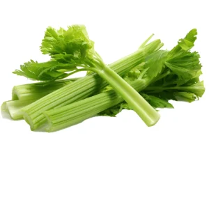 Golden Self Blanching Celery Seeds - 50 Seed Pack - Heirloom Vegetable - Image 11