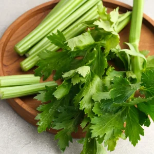 Golden Self Blanching Celery Seeds - 50 Seed Pack - Heirloom Vegetable - Image 12