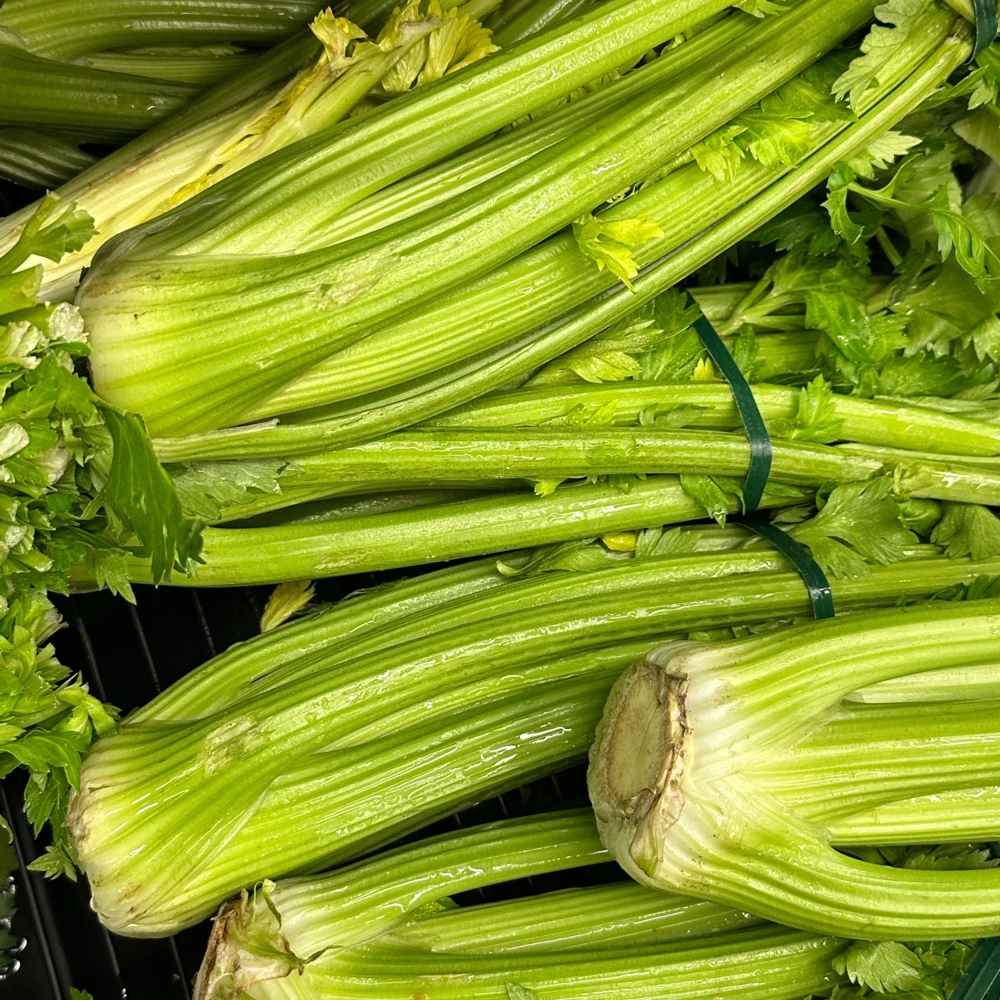 Golden Self Blanching Celery Seeds - 50 Seed Pack - Heirloom Vegetable - Image 14
