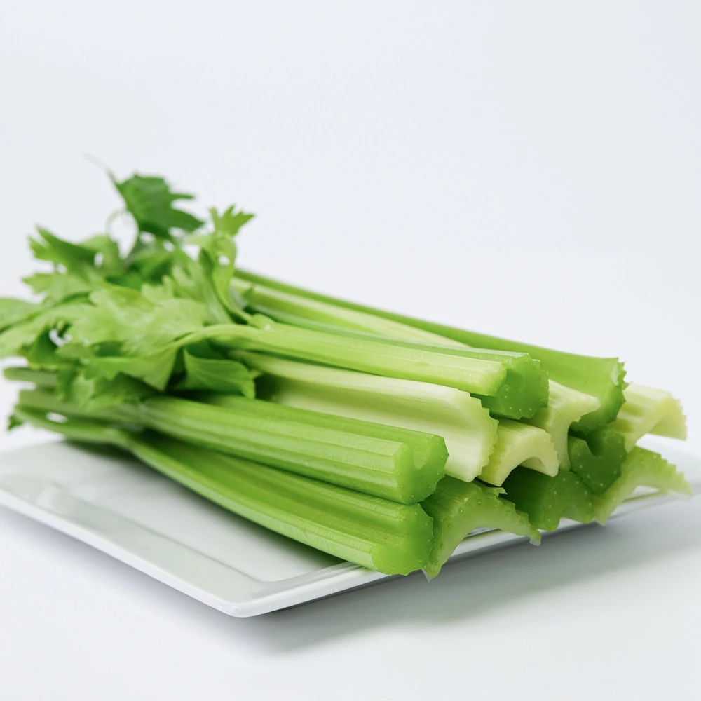 Golden Self Blanching Celery Seeds - 50 Seed Pack - Heirloom Vegetable - Image 15