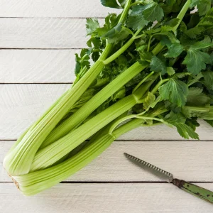 Golden Self Blanching Celery Seeds - 50 Seed Pack - Heirloom Vegetable - Image 2