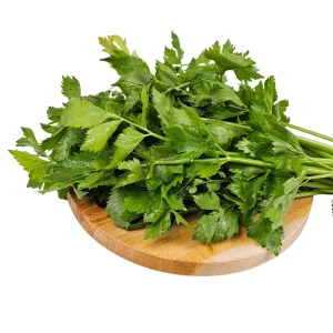 Golden Self Blanching Celery Seeds - 50 Seed Pack - Heirloom Vegetable - Image 9