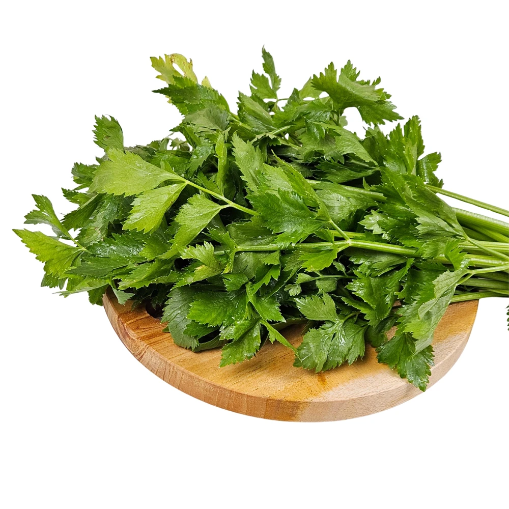 Golden Self Blanching Celery Seeds - 50 Seed Pack - Heirloom Vegetable - Image 9