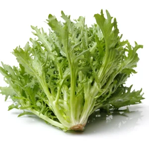Green Curled Ruffec Endive Seeds - 50 Count Pack - Frilly Leafy Vegetable - Image 13
