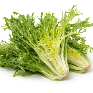 Green Curled Ruffec Endive Seeds - 50 Count Pack - Frilly Leafy Vegetable - Image 8