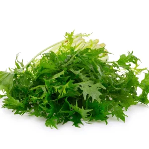 Green Mizuna Mustard Seeds - Japanese Asian Greens - Brassica rapa var. nipposinica - 20 Seed Pack - Image 5