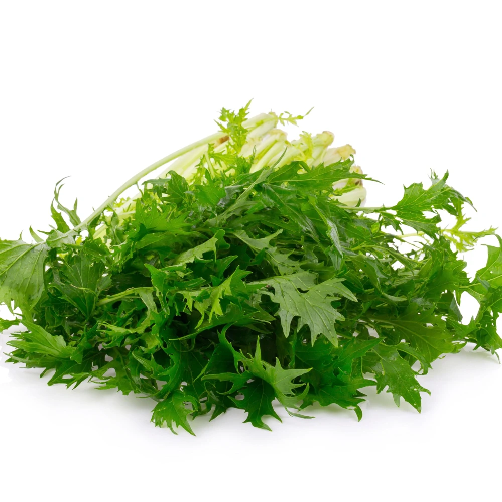 Green Mizuna Mustard Seeds - Japanese Asian Greens - Brassica rapa var. nipposinica - 20 Seed Pack - Image 5