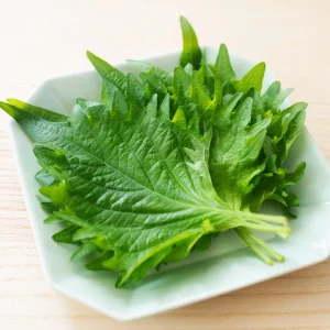 Green Shiso Herb Seeds - Perilla frutescens - Japanese Culinary Herb - 20 Seed Pack - Image 8