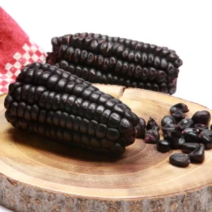 Hopi Blue Corn Seeds – Heirloom Native American Corn – 10 Seeds – Drought-Tolerant - Image 2