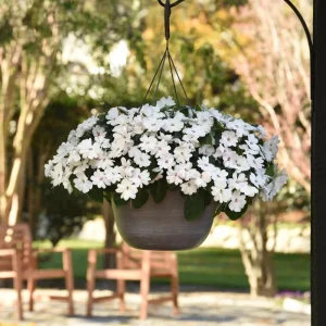 Impatiens Seeds – Solarscape Mix – Sun & Shade Annual Flowers – 20 Seeds - Image 10