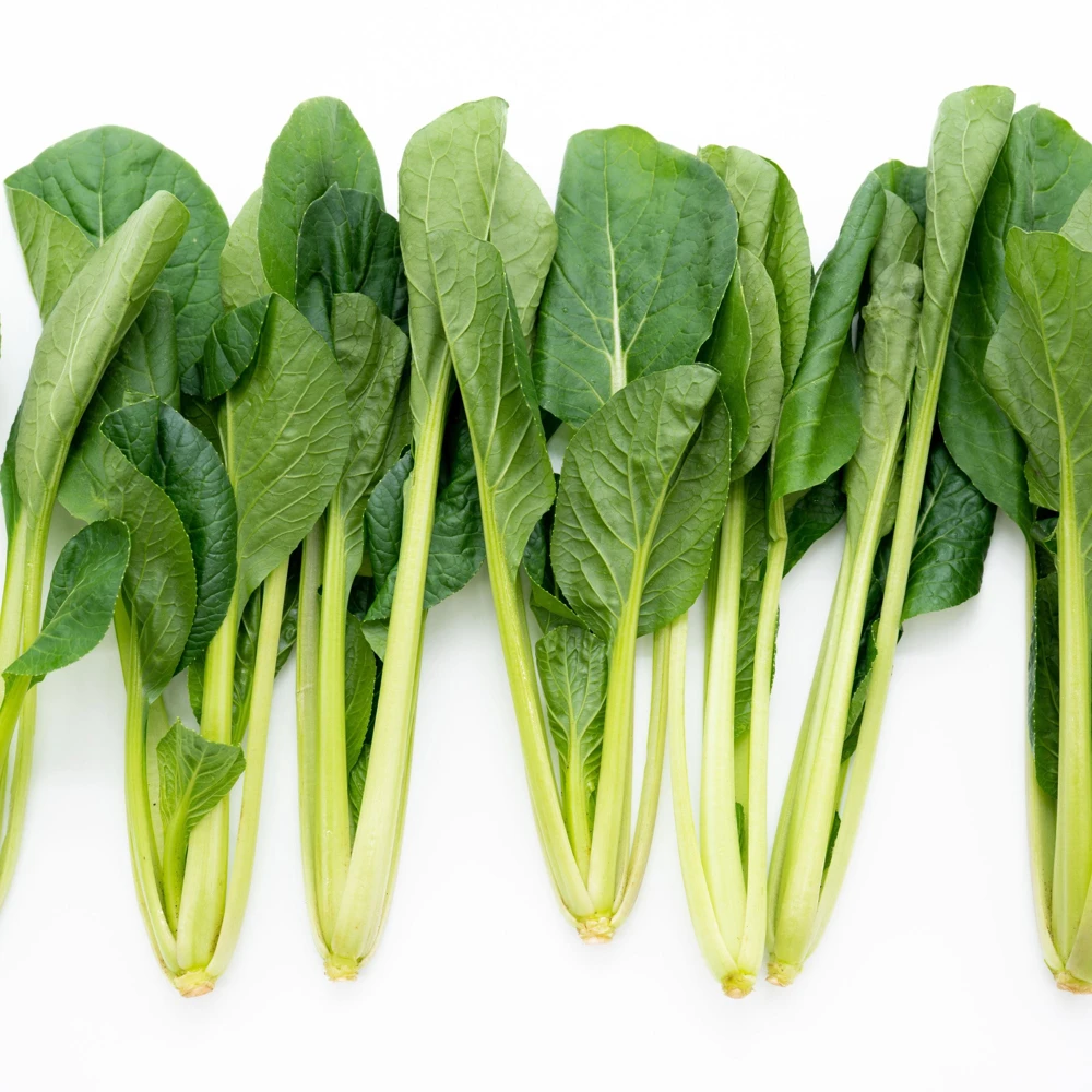 Japanese Komatsuna Seeds - Mustard Spinach - 5 Seeds - Easy Grow Asian Leafy Vegetable - Image 2