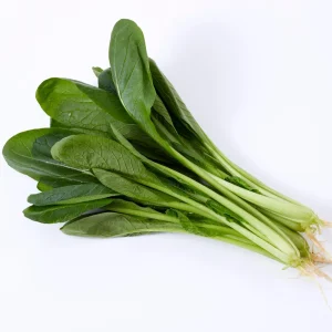 Japanese Komatsuna Seeds - Mustard Spinach - 5 Seeds - Easy Grow Asian Leafy Vegetable - Image 3