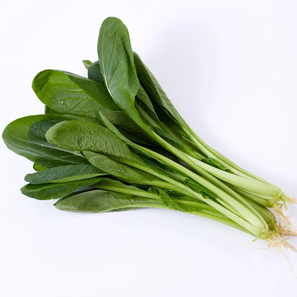 Japanese Komatsuna Seeds - Mustard Spinach - 5 Seeds - Easy Grow Asian Leafy Vegetable - Image 3