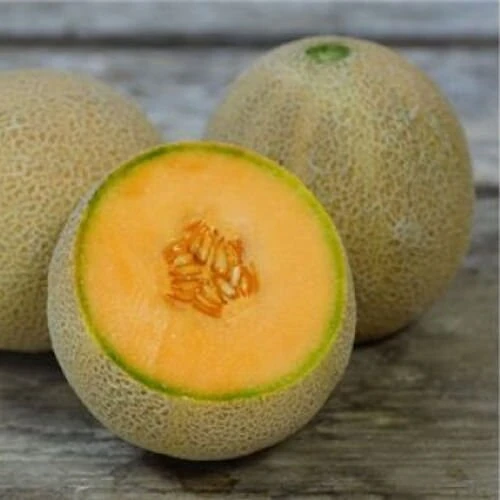 Jumbo Cantaloupe Seeds - Heirloom Muskmelon Rockmelon, High Yield, 30 Seeds - Image 3