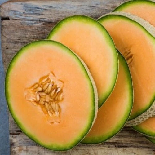 Jumbo Cantaloupe Seeds - Heirloom Muskmelon Rockmelon, High Yield, 30 Seeds - Image 4