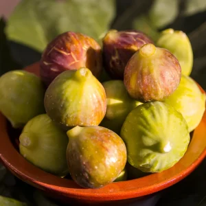 Kadota Fig Seeds - Ficus Carica - Fruit Tree Seeds - 25 Seeds for Sweet Figs - Image 3