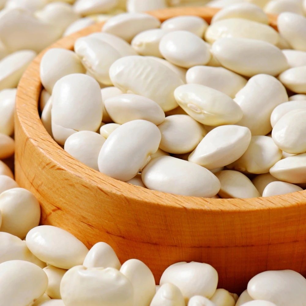 Large Lima Beans Seeds - Heirloom Vegetable Seeds - High Yield - 15 Seeds - Image 10