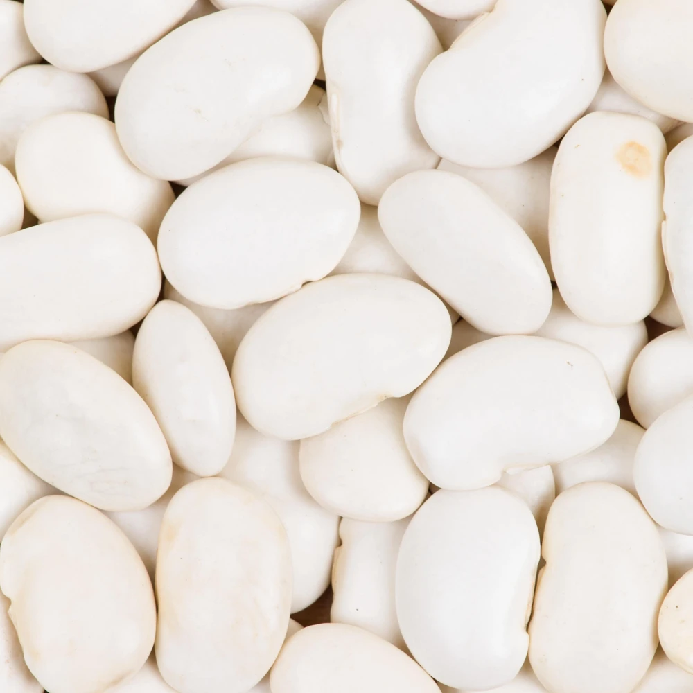 Large Lima Beans Seeds - Heirloom Vegetable Seeds - High Yield - 15 Seeds - Image 11