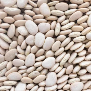 Large Lima Beans Seeds - Heirloom Vegetable Seeds - High Yield - 15 Seeds - Image 12