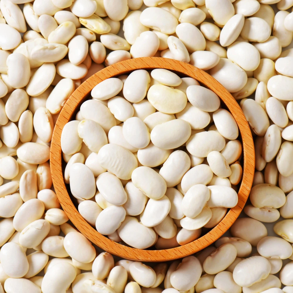 Large Lima Beans Seeds - Heirloom Vegetable Seeds - High Yield - 15 Seeds - Image 13