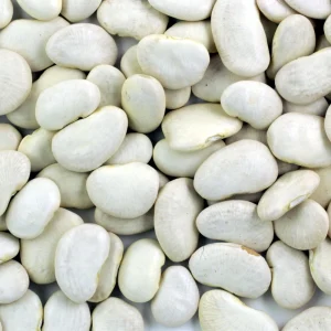 Large Lima Beans Seeds - Heirloom Vegetable Seeds - High Yield - 15 Seeds - Image 15