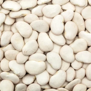 Large Lima Beans Seeds - Heirloom Vegetable Seeds - High Yield - 15 Seeds - Image 16
