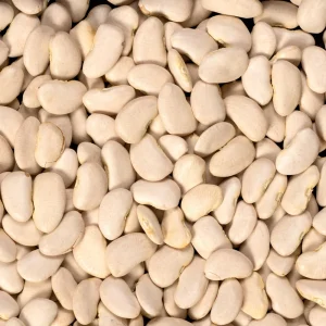 Large Lima Beans Seeds - Heirloom Vegetable Seeds - High Yield - 15 Seeds - Image 17