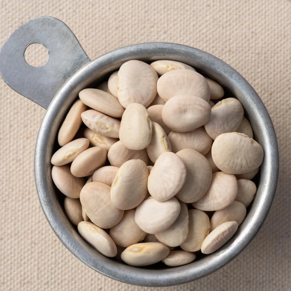 Large Lima Beans Seeds - Heirloom Vegetable Seeds - High Yield - 15 Seeds - Image 3