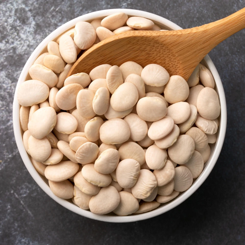 Large Lima Beans Seeds - Heirloom Vegetable Seeds - High Yield - 15 Seeds - Image 4