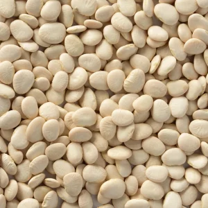 Large Lima Beans Seeds - Heirloom Vegetable Seeds - High Yield - 15 Seeds - Image 5