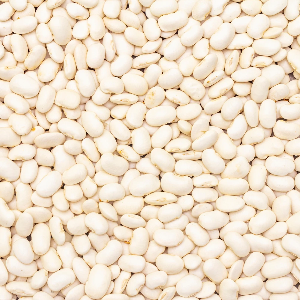 Large Lima Beans Seeds - Heirloom Vegetable Seeds - High Yield - 15 Seeds - Image 6