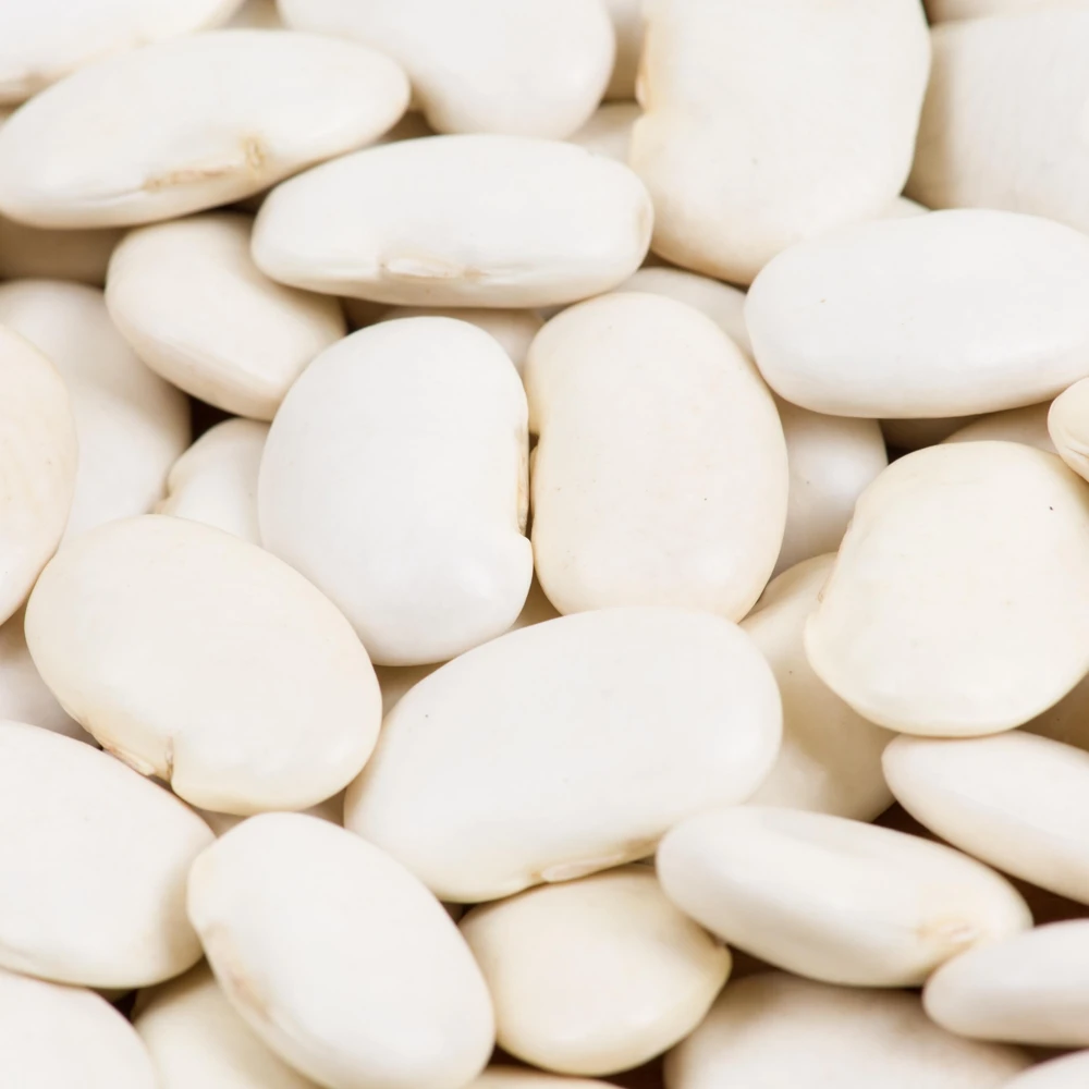 Large Lima Beans Seeds - Heirloom Vegetable Seeds - High Yield - 15 Seeds - Image 7