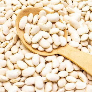 Large Lima Beans Seeds - Heirloom Vegetable Seeds - High Yield - 15 Seeds - Image 8