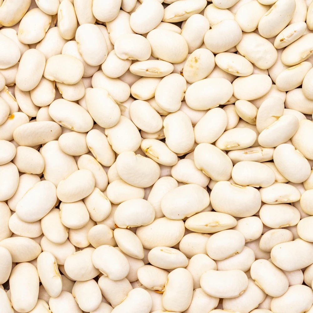 Large Lima Beans Seeds - Heirloom Vegetable Seeds - High Yield - 15 Seeds - Image 9
