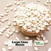 Large Lima Beans Seeds - Heirloom Vegetable Seeds - High Yield - 15 Seeds - Image 1