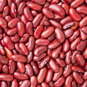 Light Red Kidney Beans Seeds - Heirloom Legume - 15 Seeds - Easy to Grow - Image 11
