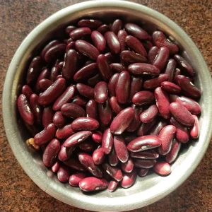 Light Red Kidney Beans Seeds - Heirloom Legume - 15 Seeds - Easy to Grow - Image 4