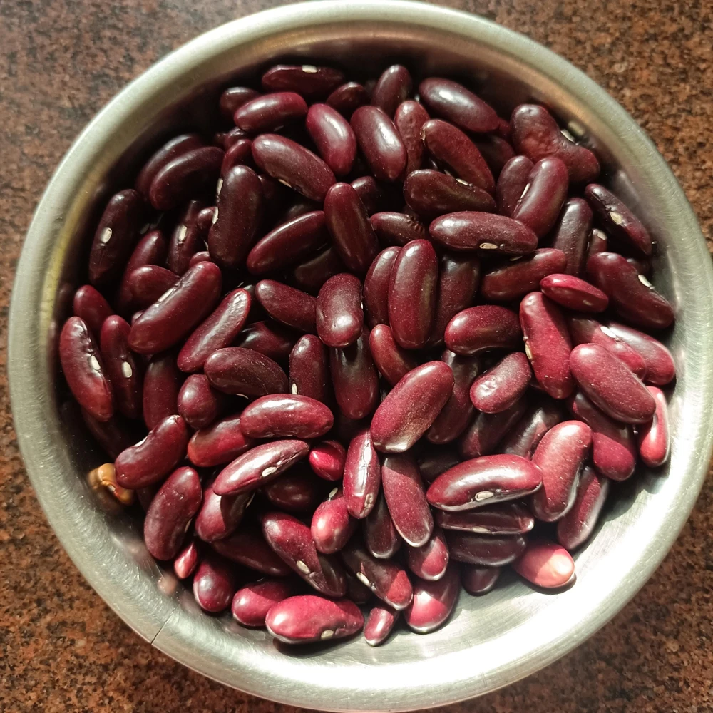 Light Red Kidney Beans Seeds - Heirloom Legume - 15 Seeds - Easy to Grow - Image 4