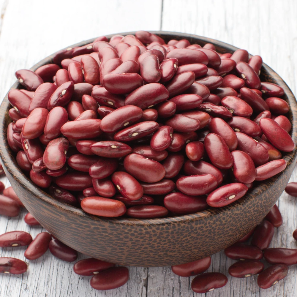 Light Red Kidney Beans Seeds - Heirloom Legume - 15 Seeds - Easy to Grow - Image 5