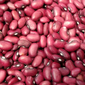 Light Red Kidney Beans Seeds - Heirloom Legume - 15 Seeds - Easy to Grow - Image 6