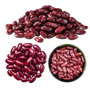 Light Red Kidney Beans Seeds - Heirloom Legume - 15 Seeds - Easy to Grow - Image 7
