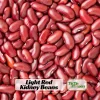 Light Red Kidney Beans Seeds - Heirloom Legume - 15 Seeds - Easy to Grow - Image 1