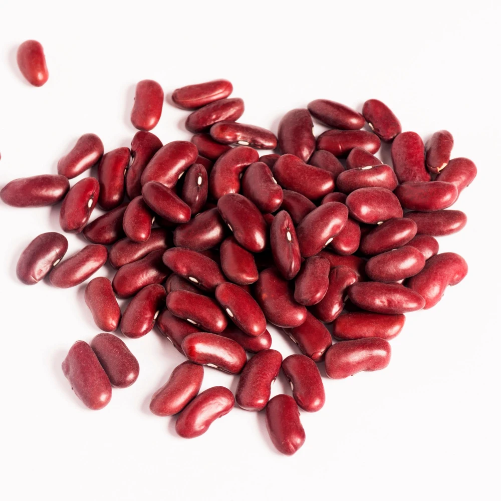 Light Red Kidney Beans Seeds - Heirloom Legume - 15 Seeds - Easy to Grow - Image 9
