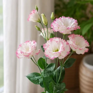 Lisianthus Echo Pink Picotee Seeds - 20 Count - Bicolor Double Flowers - Image 5