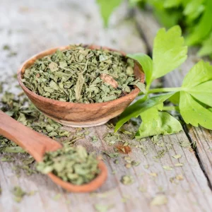 Lovage Seeds - Levisticum officinale - Perennial Culinary Herb - 20 Seeds - Image 3