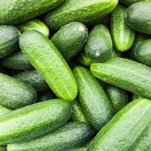 Marketmore 76 Cucumber Seeds - Heirloom Vegetable, High Yield - 20 Seeds - Image 4